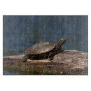 Recherche de tortue planches à découper Nature