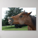 Recherche de silly Cheval