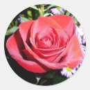 Recherche de red rose autocollants Pour tous