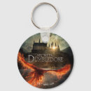 Recherche de movie accessoires Secrets of dumbledore