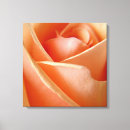 Recherche de signe paix rose posters Floral