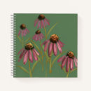 Recherche de échinacée carnets Rose