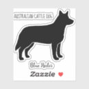 Recherche de blue heeler Hélier bleu
