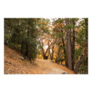Recherche de idyllique posters Californie