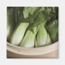 Recherche de légume vert magnets Photographie