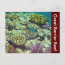 Recherche de barrière cartes postales Queensland