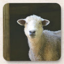 Recherche de animal de ferme bar Pays