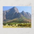 Recherche de cape town cartes postales Jour