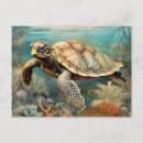 Recherche de vie aquatique cartes postales Maritime
