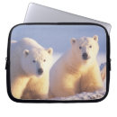 Recherche de banquises Alaska
