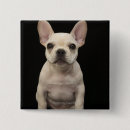 Recherche de bouledogue francais badges Chien