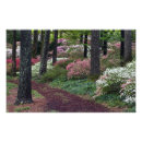 Recherche de callaway posters Fleur