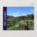 Recherche de sri lanka cartes postales Ceylon