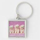 Recherche de comportement accessoires Image de couleur