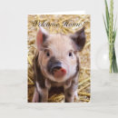Recherche de porcelet vœux cartes Animal