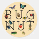 Zoek naar mieren stickers Kevers