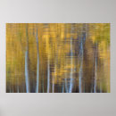 Zoek naar herfst bos posters Geel
