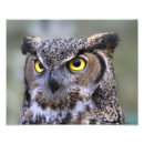 Recherche de vie sauvage art Imprimer