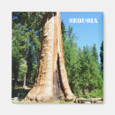 Recherche de de parc refrigérateur magnets Arbres