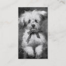 Recherche de pelucheux cartes visite Chien