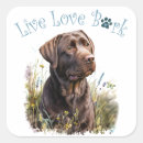Recherche de labrador chocolat autocollants Mignon