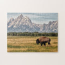 Zoek naar wyoming puzzels Buffalo