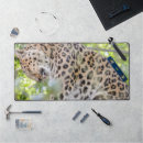 Recherche de chats jungle tapis souris Animal