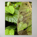 Recherche de isolement art Nature