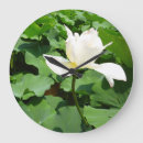 Recherche de lotus horloges Étang