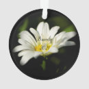 Zoek naar daisy ornamenten Bloesem