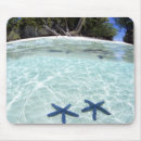 Recherche de lointain tapis souris Pittoresque