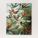 Recherche de hummingbird puzzles Nature