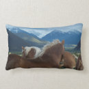 Recherche de crinière coussins Équin