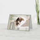 Recherche de chat gonflé Chats