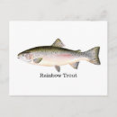 Recherche de truite arc en ciel cartes postales Pêche