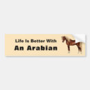 Recherche de cheval arabe voiture autocollants Chevaux
