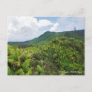 Recherche de forêt tropicale tropicale cartes postales Porto rico