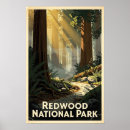 Recherche de forêt de séquoia posters Parc national de redwood