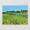 Recherche de paysage toscan cartes postales Arbres