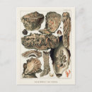 Recherche de illustration scientifique cartes postales Vintage