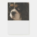 Recherche de vétérinaire post its Animal de compagnie