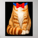Recherche de chat mignon posters Orange