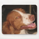 Zoek naar glimlach muismatten Vogel