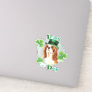 Recherche de st paddy autocollants Jour de st patrick