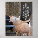 Recherche de yeux oranges art Chat