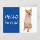 Recherche de inu de shiba vœux cartes Dog