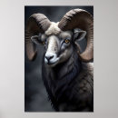 Recherche de vie sauvage posters Faune
