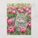 Zoek naar roze tulp briefkaarten Schattig