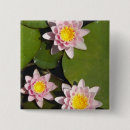 Recherche de nénuphar badges L'eau
