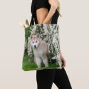 Recherche de malamute sacs Chiot